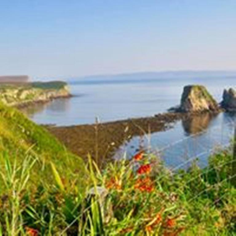 Windhaven Camping And B&B Thurso Exterior photo